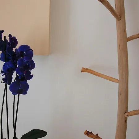 Bed & Breakfast Gennaro Palinuro